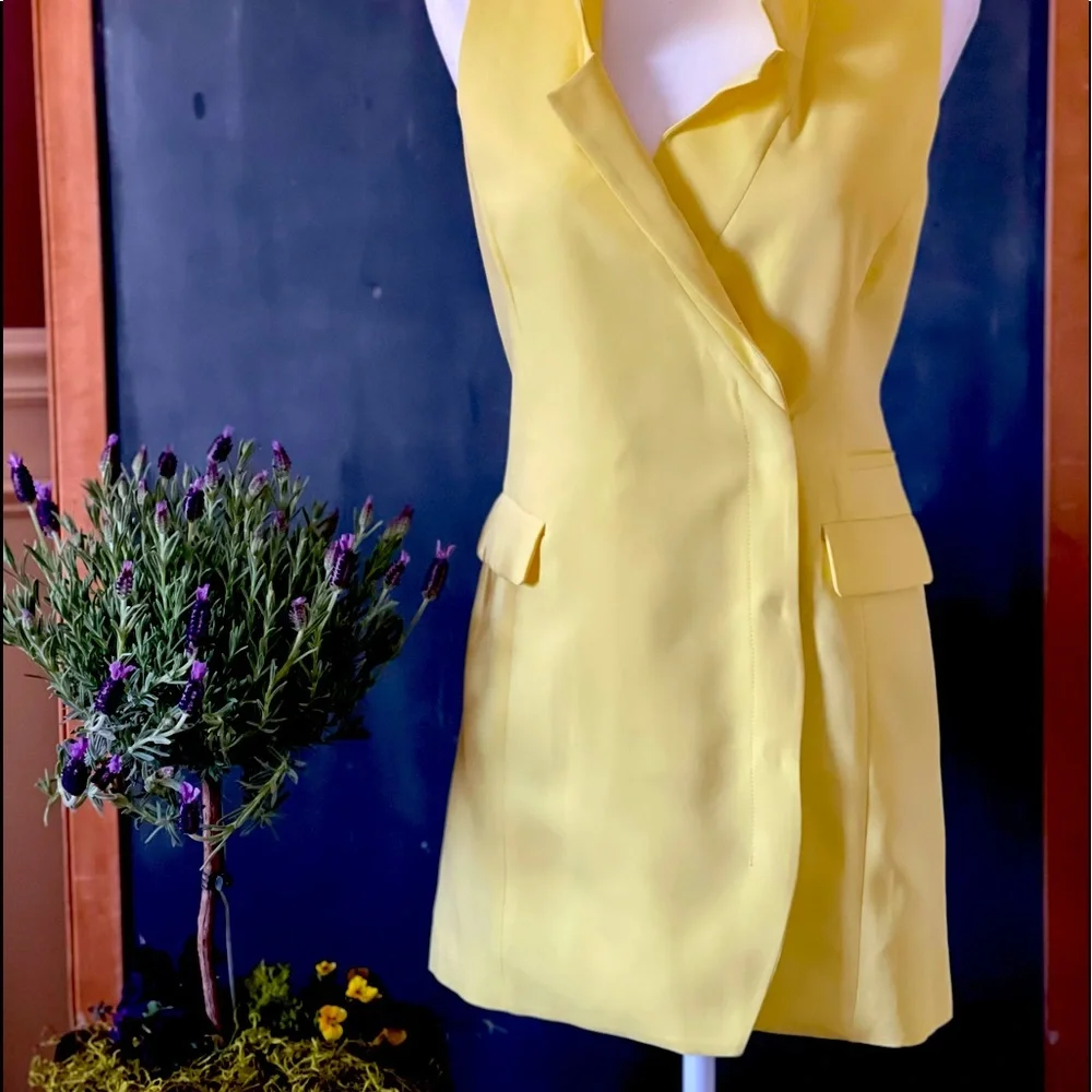 NWT Fletch By JoJo Fletcher “Olivia” Vest Blazer Dress - Picture 6 of 6